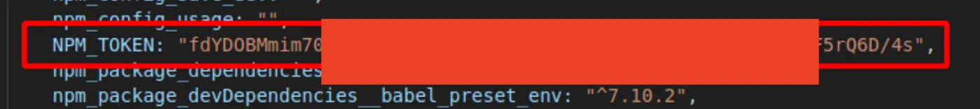 NPM_TOKEN