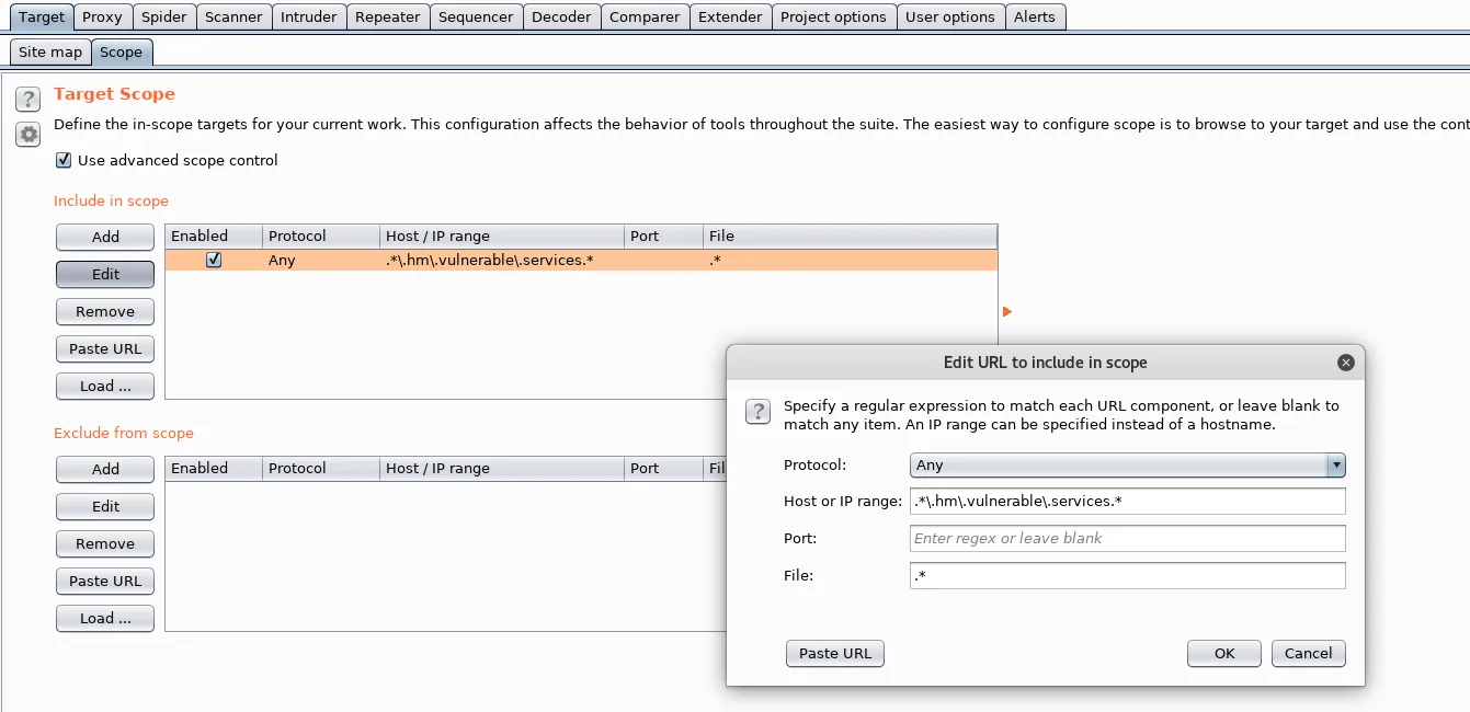 BURP Suite Configuration - Adding Scope