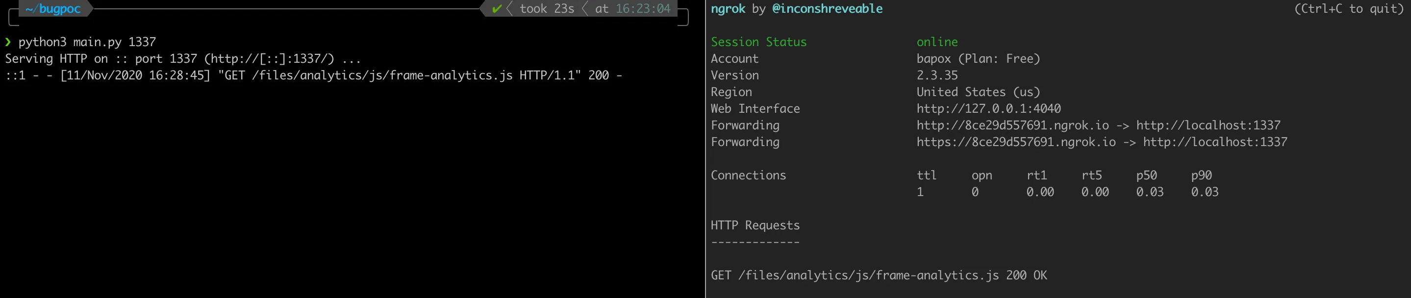 "ngrok & python server"