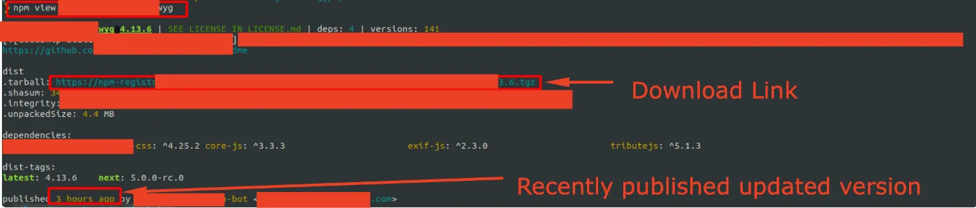 Output of npm view command